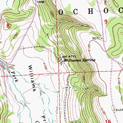Topographic Map of Williams Spring, OR