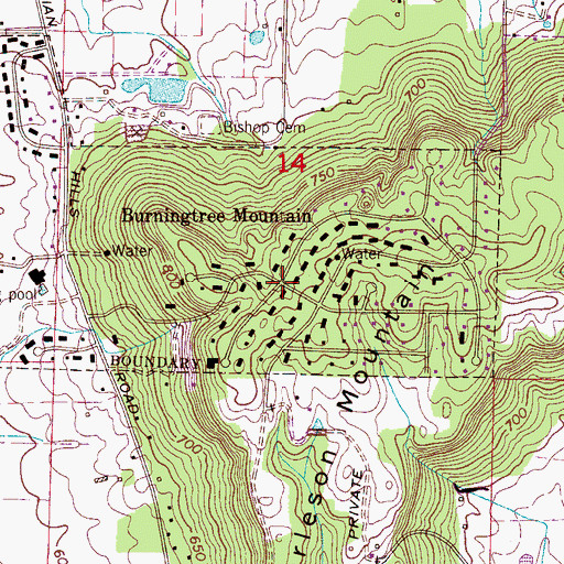 Topographic Map of Burningtree Mountain, AL
