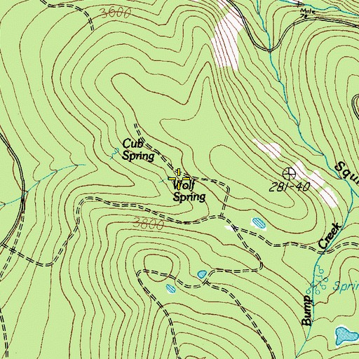 Topographic Map of Wolf Spring, OR