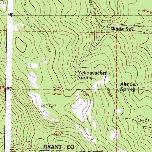 Topographic Map of Yellowjacket Spring, OR