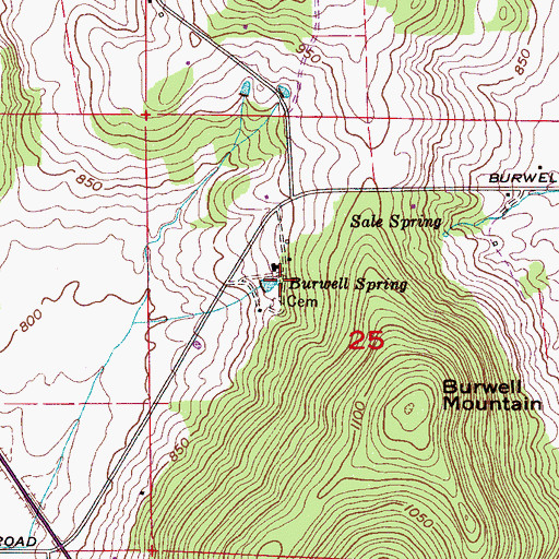 Topographic Map of Burwell Spring, AL