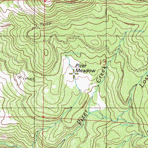 Topographic Map of Pizer Meadow, OR