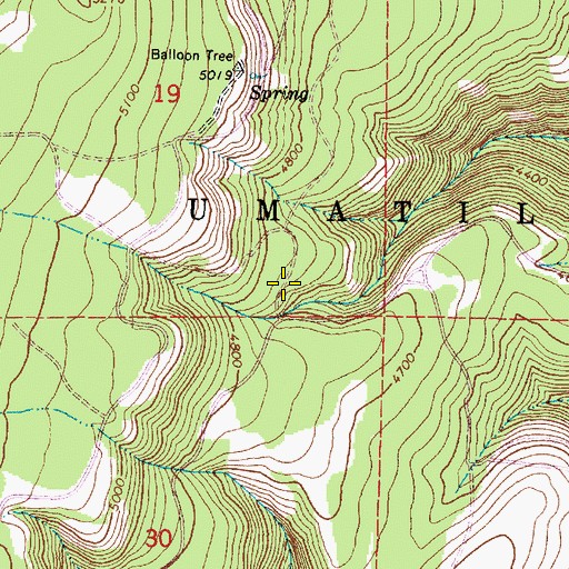 Topographic Map of Lady Spring, OR