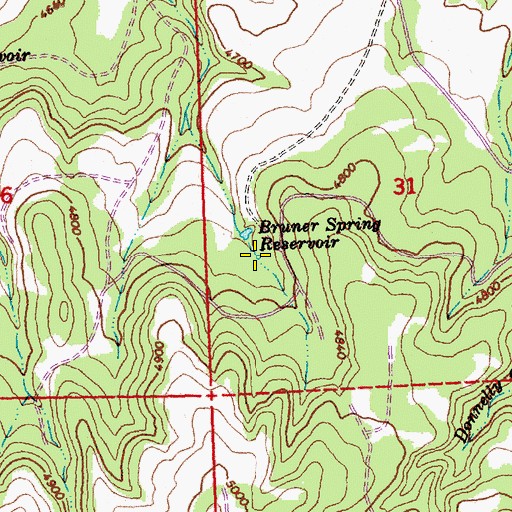 Topographic Map of Bruner Spring, OR