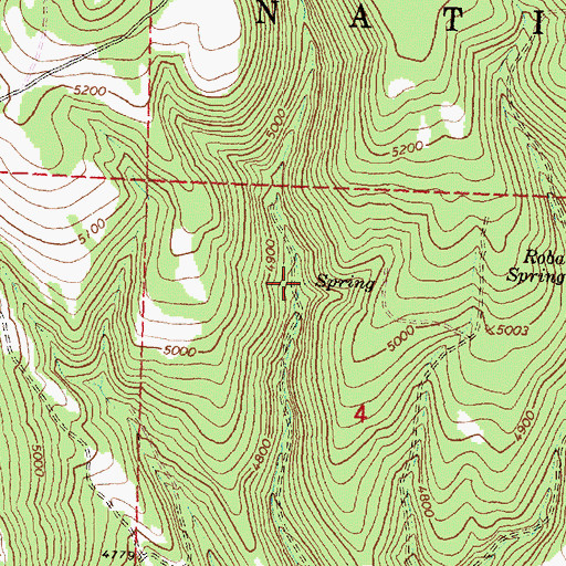 Topographic Map of Paulina Spring, OR