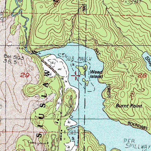 Topographic Map of Weed Island, OR