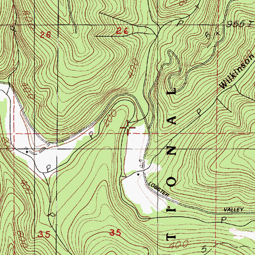 Topographic Map of Lobster Valley, OR