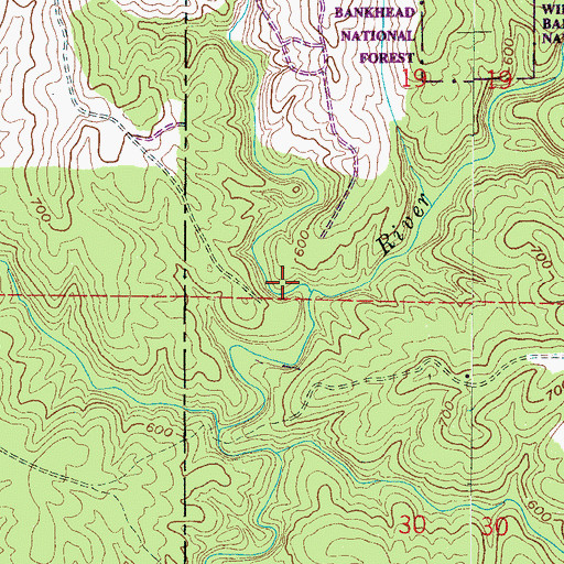 Topographic Map of Cagle Cove, AL