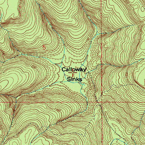 Topographic Map of Calloway Sinks, AL