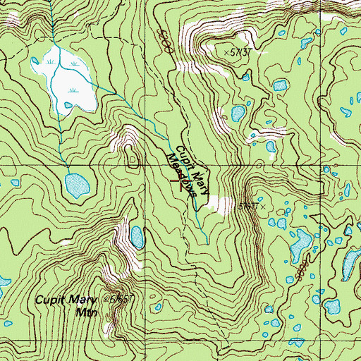 Topographic Map of Cupit Mary Meadow, OR