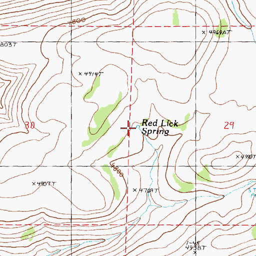 Topographic Map of Red Lick Spring, OR