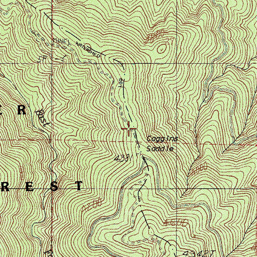 Topographic Map of Coggins Saddle, OR