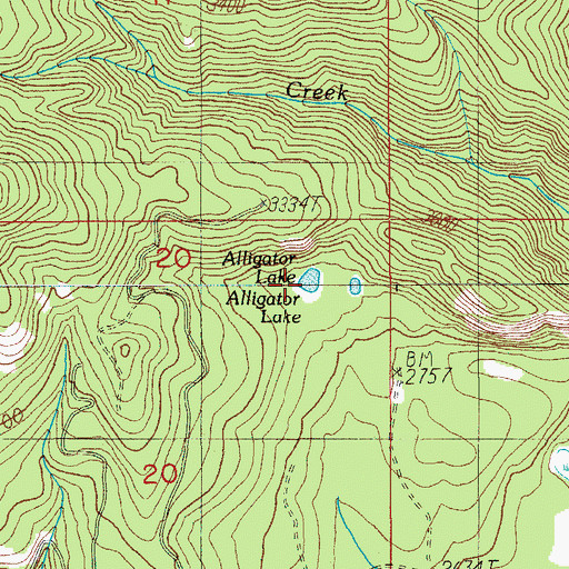 Topographic Map of Alligator Lake, OR