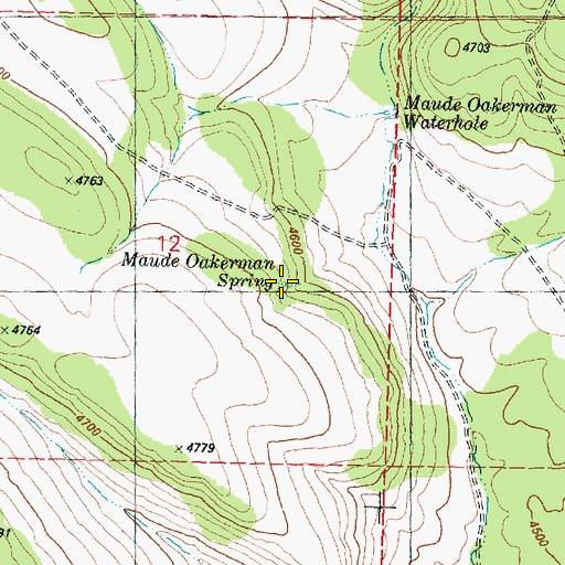 Topographic Map of Maude Oakerman Spring, OR