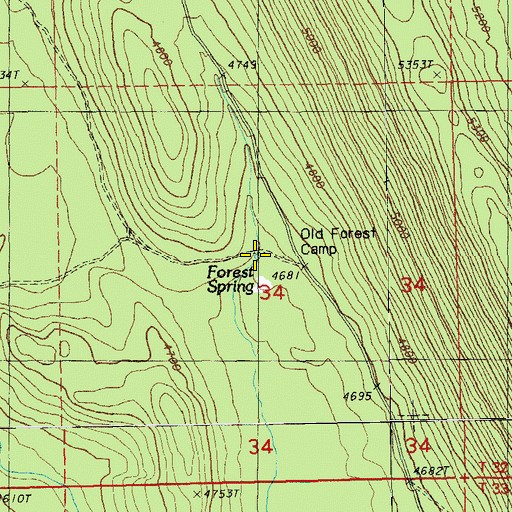 Topographic Map of Forest Spring, OR