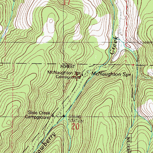 Topographic Map of McNaughton Spring Recreation Site, OR