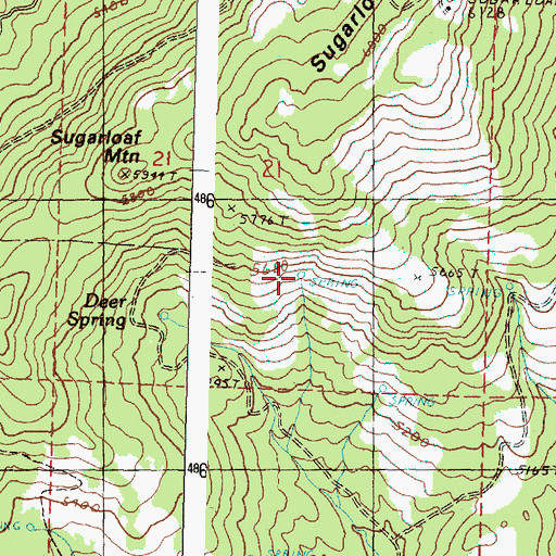 Topographic Map of Deer Spring, OR