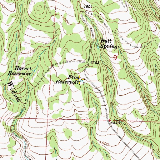 Topographic Map of Frog Spring, OR