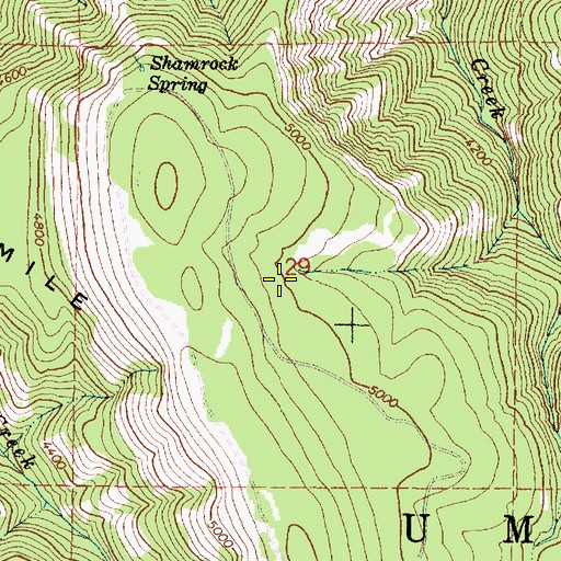 Topographic Map of Indian Spring, OR