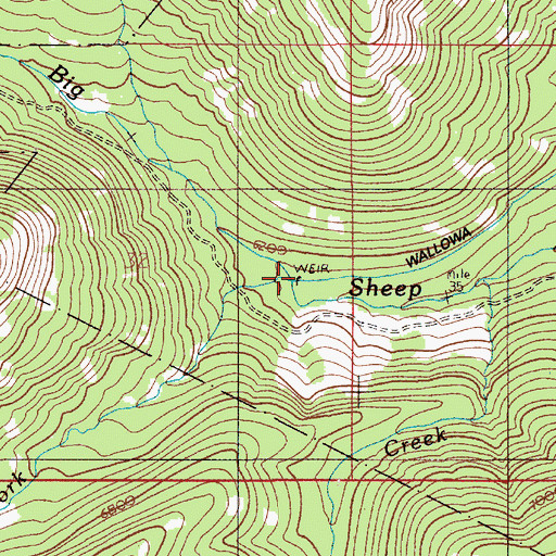 Topographic Map of Tenderfoot Trailhead, OR