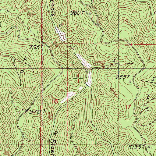 Topographic Map of Durbin Meadows, OR