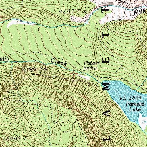 Topographic Map of Flapper Springs, OR