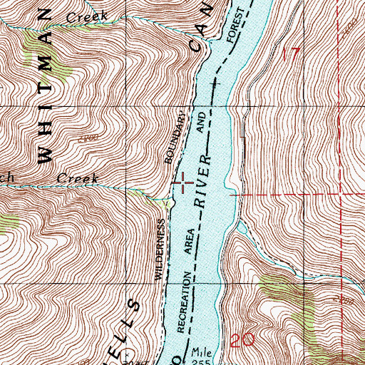 Topographic Map of Lynch Creek Forest Camp, OR