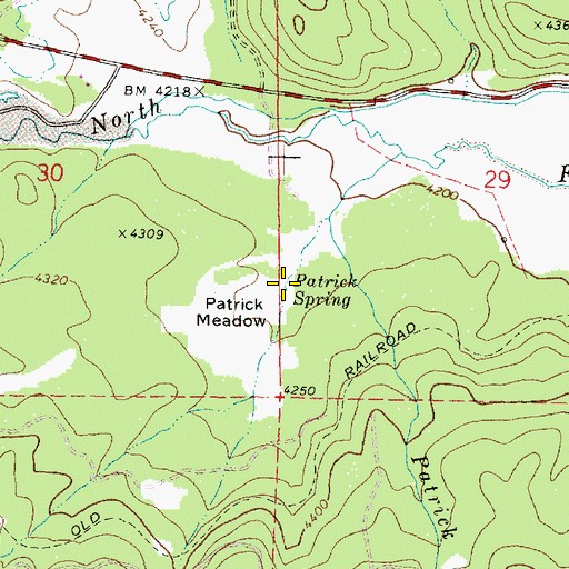 Topographic Map of Patrick Spring, OR
