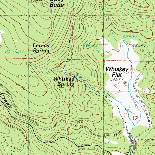 Topographic Map of Whiskey Spring, OR