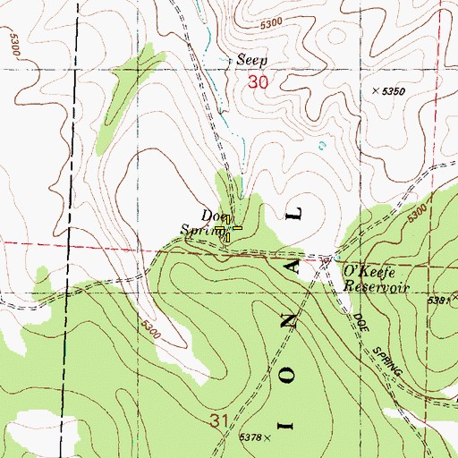 Topographic Map of Doe Spring, OR