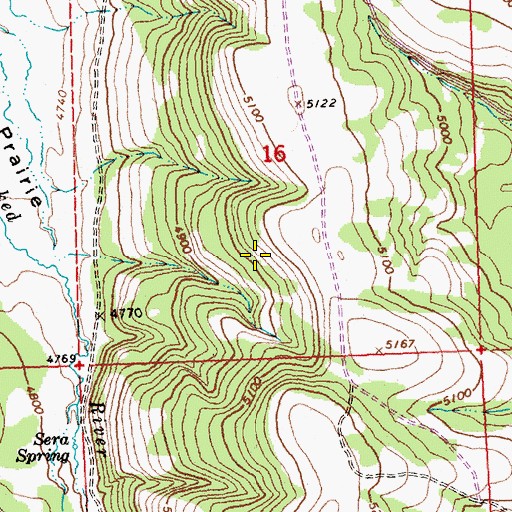 Topographic Map of Hellebore Spring, OR