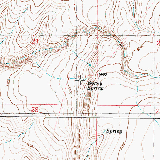 Topographic Map of Boney Spring, OR