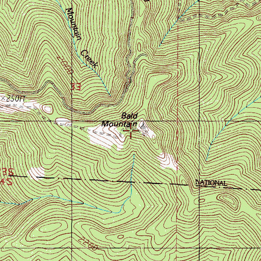 Topographic Map of Bald Mountain, OR