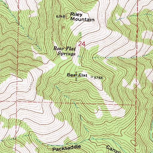 Topographic Map of Bear Flat, OR