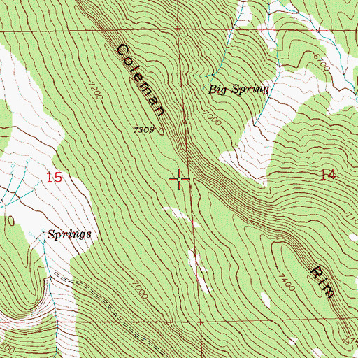 Topographic Map of Coleman Rim, OR