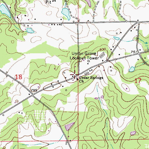 Topographic Map of Cedar Springs Church, AL