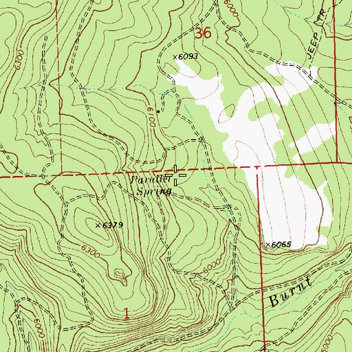 Topographic Map of Parallel Spring, OR