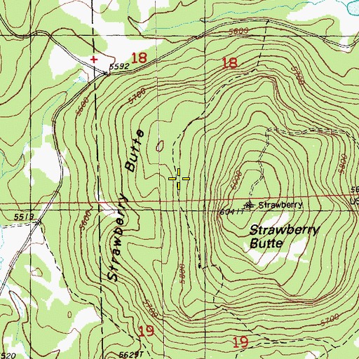 Topographic Map of Strawberry Spring, OR