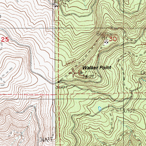 Topographic Map of Walker Point, OR