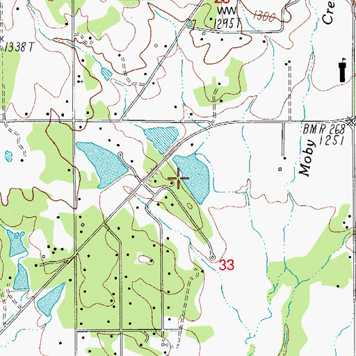 Topographic Map of Lester James Dam Number 3, OR