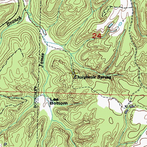 Topographic Map of Chalybeate Spring, AL