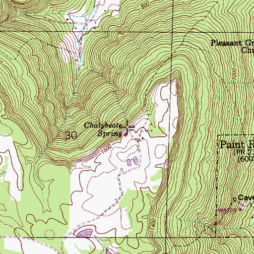 Topographic Map of Chalybeate Spring, AL
