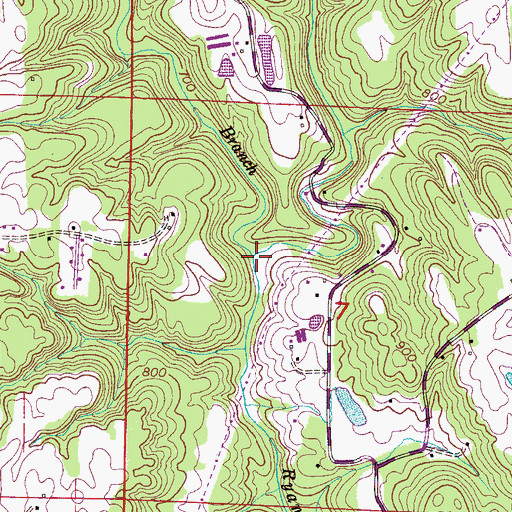 Topographic Map of Chaney Branch, AL