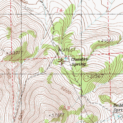 Topographic Map of Chesebro Spring, OR