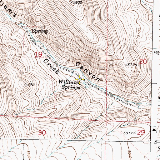 Topographic Map of Williams Spring, OR