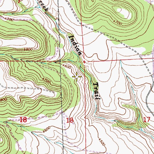 Topographic Map of Fir Tree Spring, OR