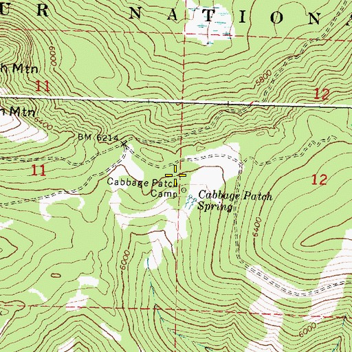 Topographic Map of Cabbage Patch Camp, OR