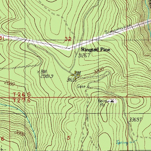 Topographic Map of Ringtail Pine, OR