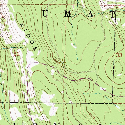 Topographic Map of Ford Spring, OR