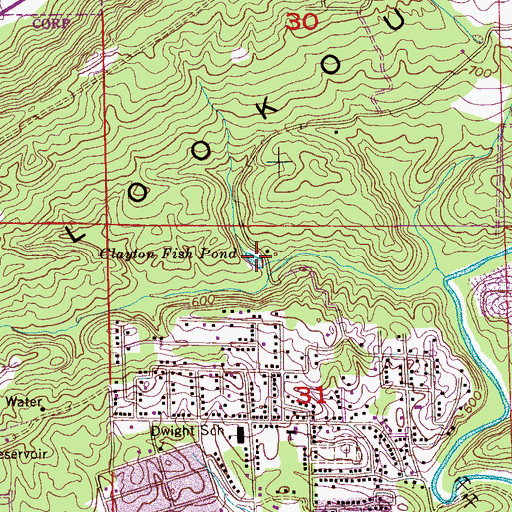 Topographic Map of Clayton Fish Pond, AL